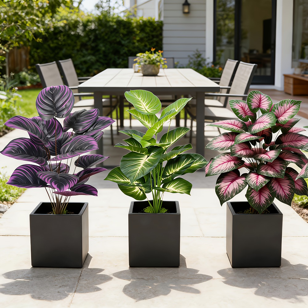 3pc Featuring Various Large-Le - Ficus Lyrata Tree 评论和价格