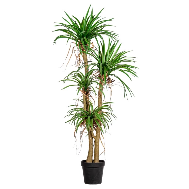 Indoor/Outdoor Home Tree Simul - Dracaena Marginata 评论和价格