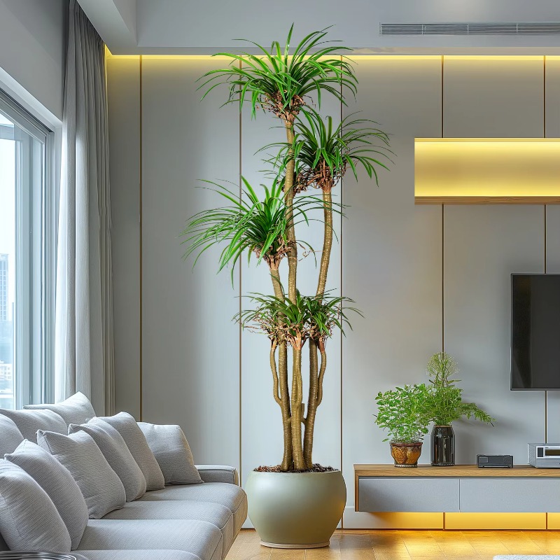 Indoor/Outdoor Home Tree Simul - Dracaena Marginata 评论和价格