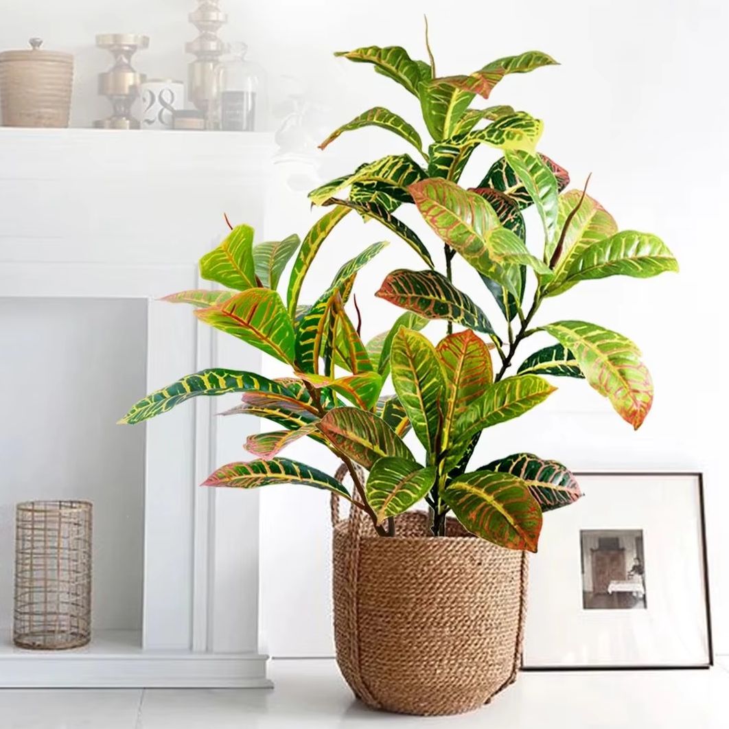 21-120cm Artificial Plant Fake - Dracaena Marginata 评论和价格