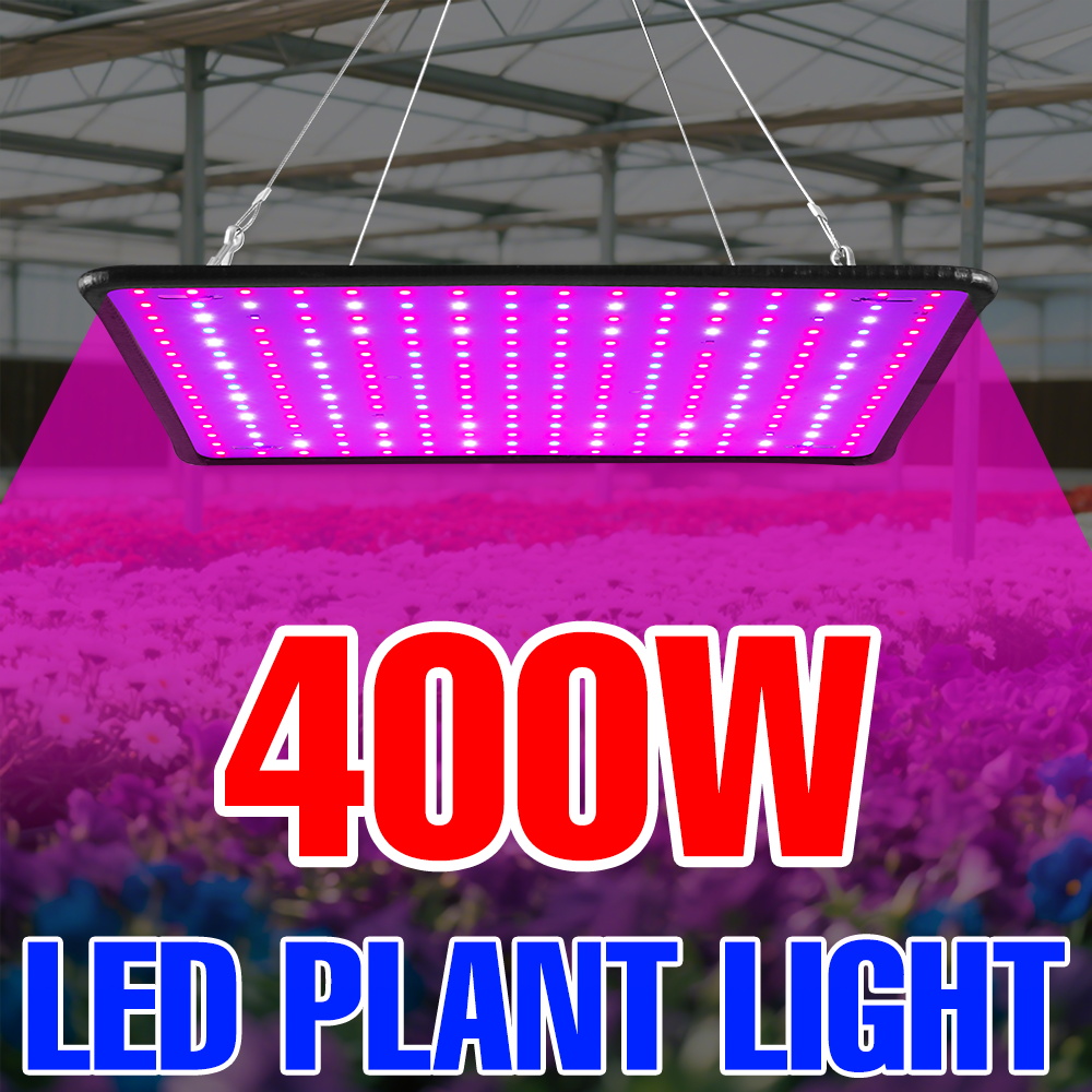 400W LED Grow Light Full Spect - Echeveria Succulent 评论和价格