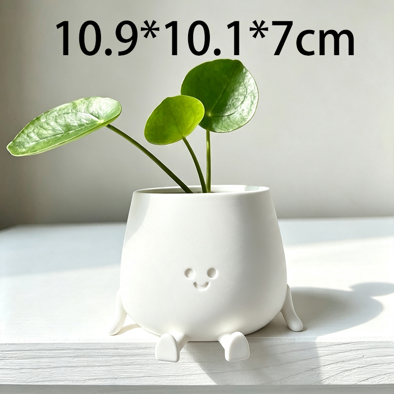 3D Printed Cute Smiley Face Pl - Echeveria Succulent 评论和价格