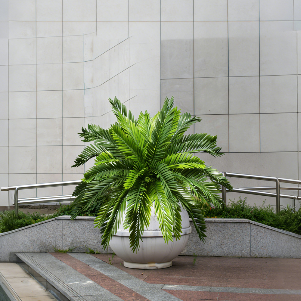 45cm Artificial Palm Plants Fa - Dracaena Marginata 评论和价格