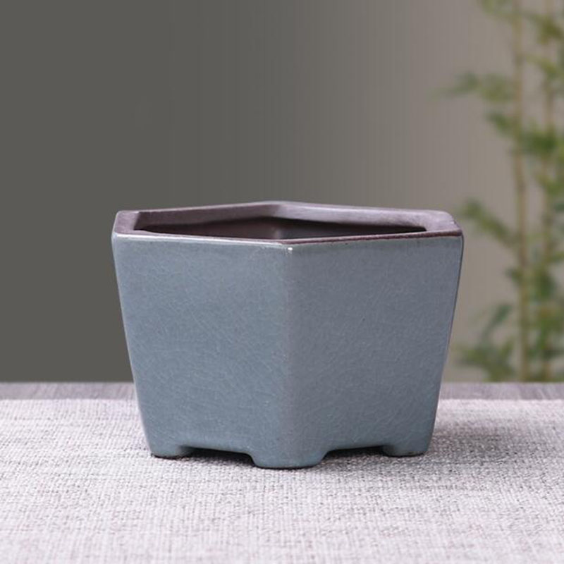 Retro Ceramic Flower Pot Aspar - Echeveria Succulent 评论和价格