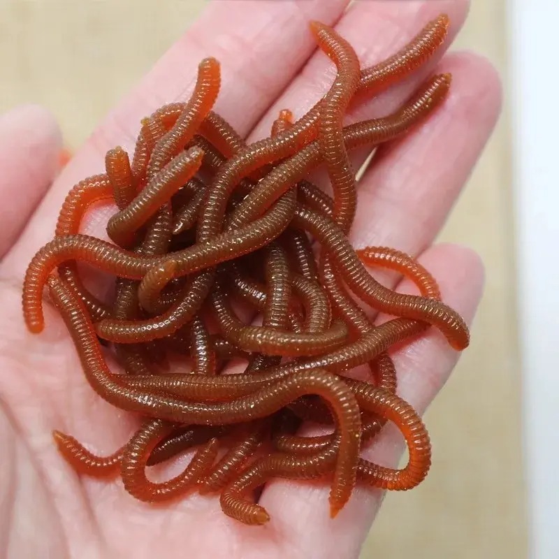 Lifelike Fishy Smell Red Soft  - Aglaonema Red 评论和价格