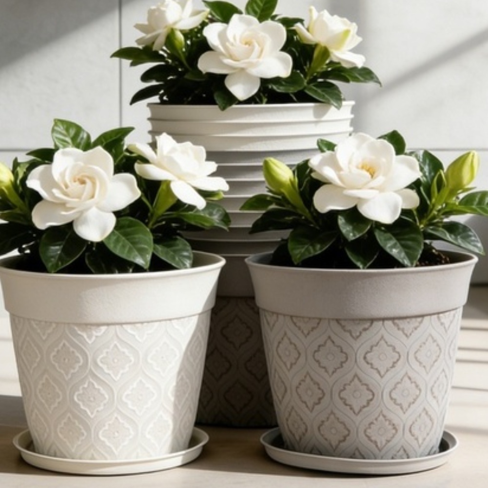 8in Flower Pot With Drainage H - Echeveria Succulent 评论和价格