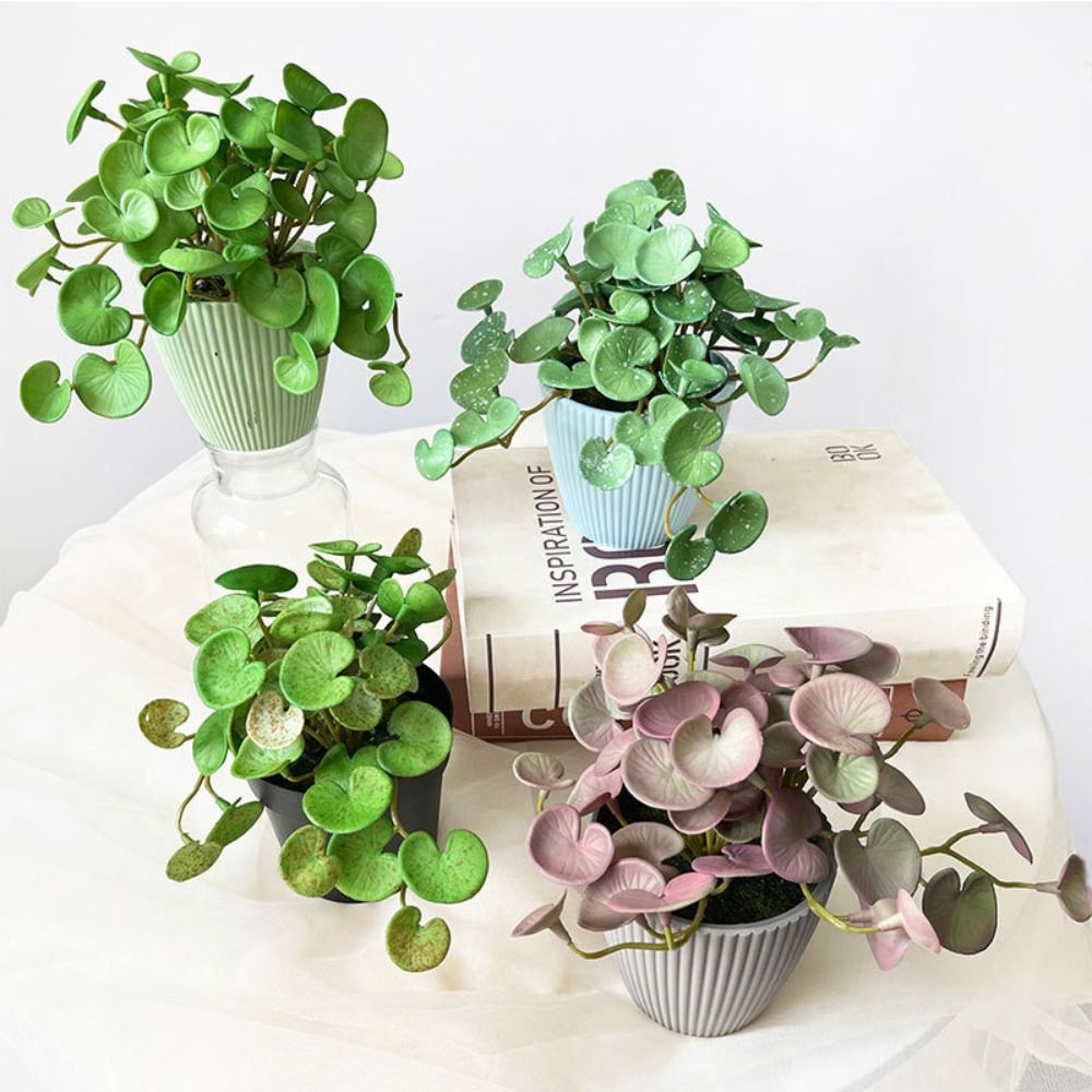 Soft Glue Artificial Plant EVA - Echeveria Succulent 评论和价格