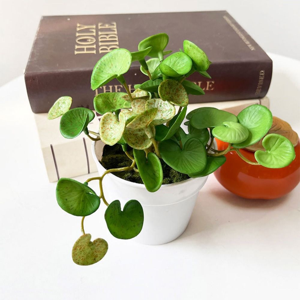 Soft Glue Artificial Plant EVA - Echeveria Succulent 评论和价格