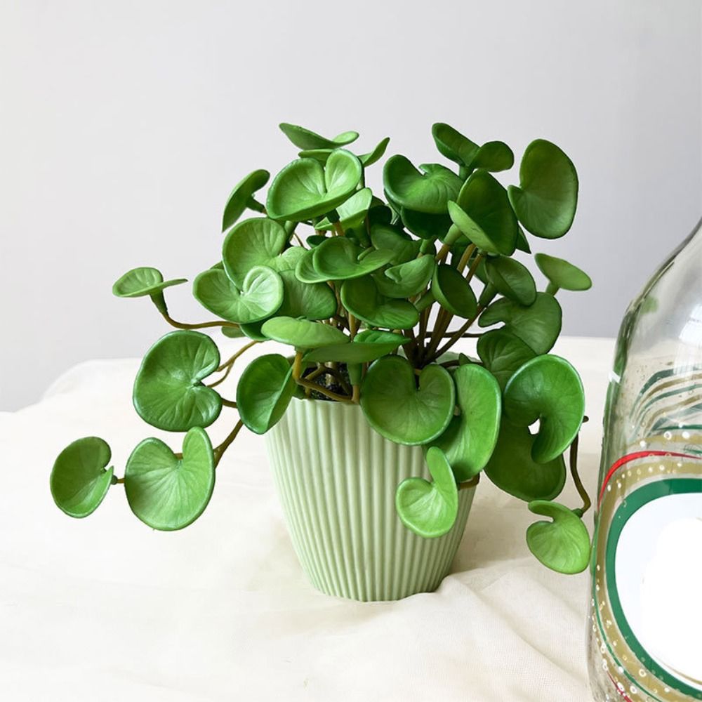 Soft Glue Artificial Plant EVA - Echeveria Succulent 评论和价格