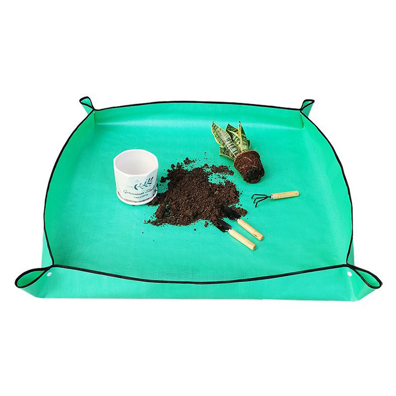 Plant Repotting Mat Waterproof - Echeveria Succulent 评论和价格