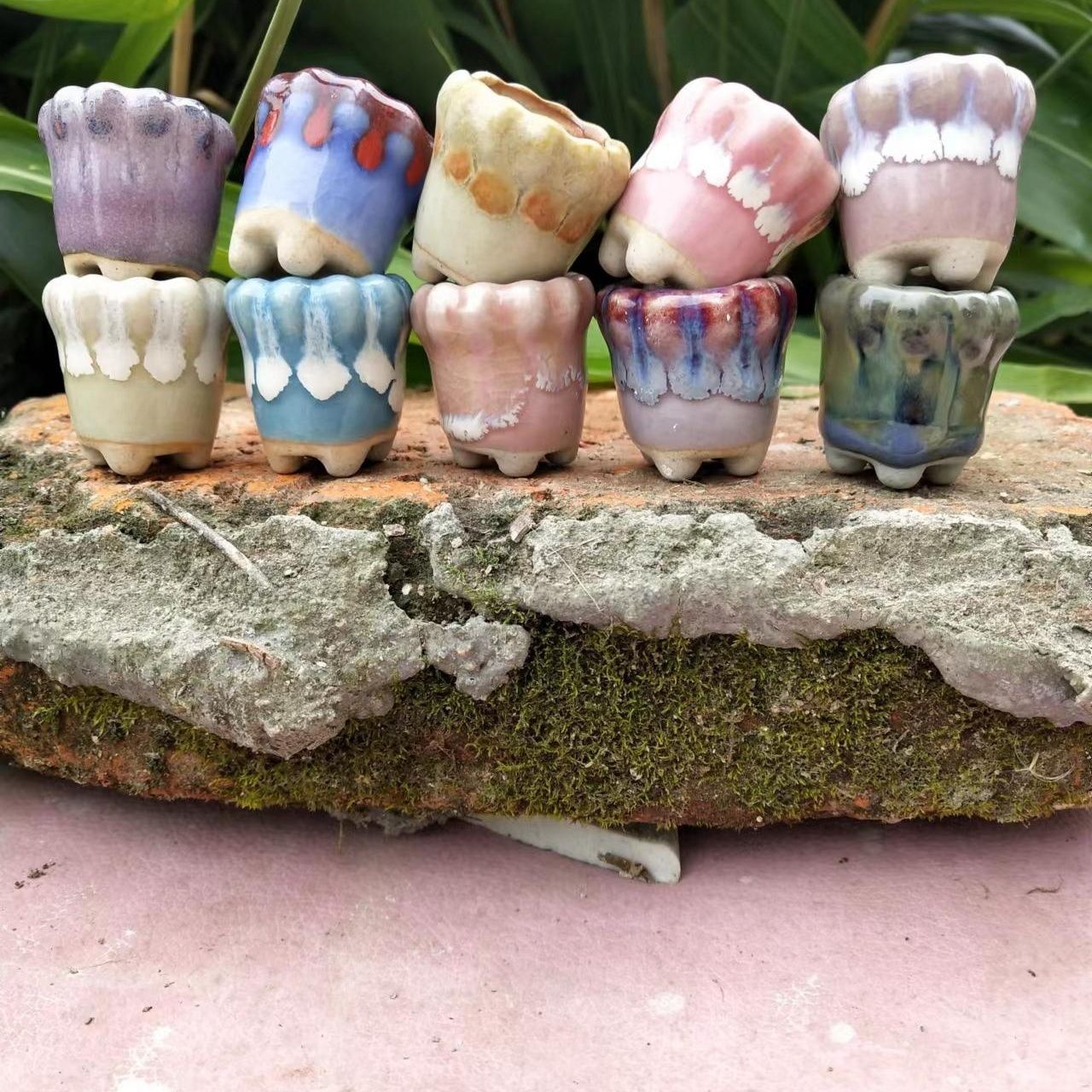 10Pcs Mini Ceramics Fowerpot M - Echeveria Succulent 评论和价格