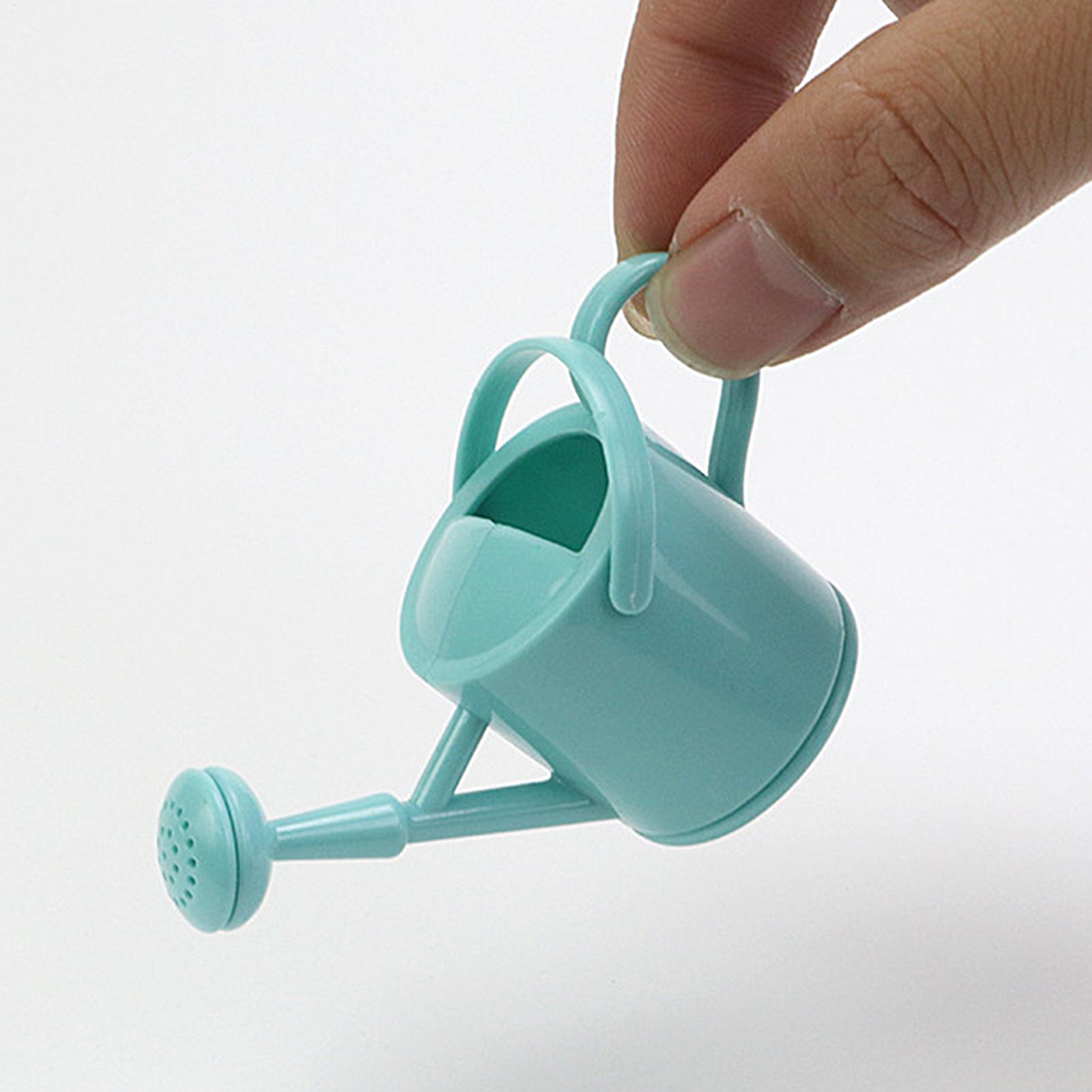 Small Kids Watering Can Flexib - Echeveria Succulent 评论和价格