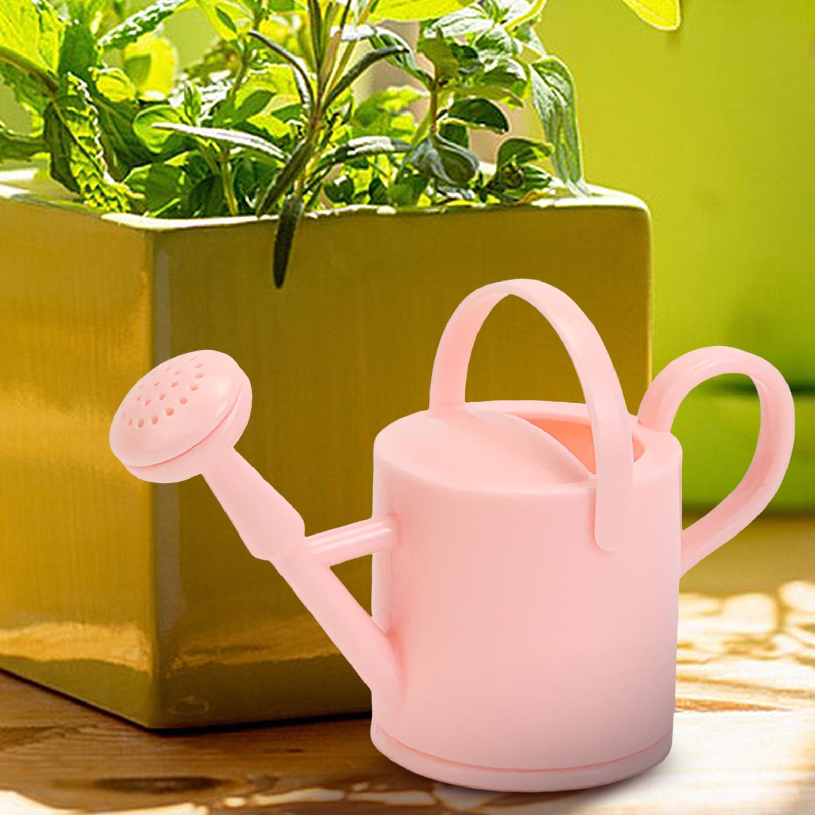 Small Kids Watering Can Flexib - Echeveria Succulent 评论和价格