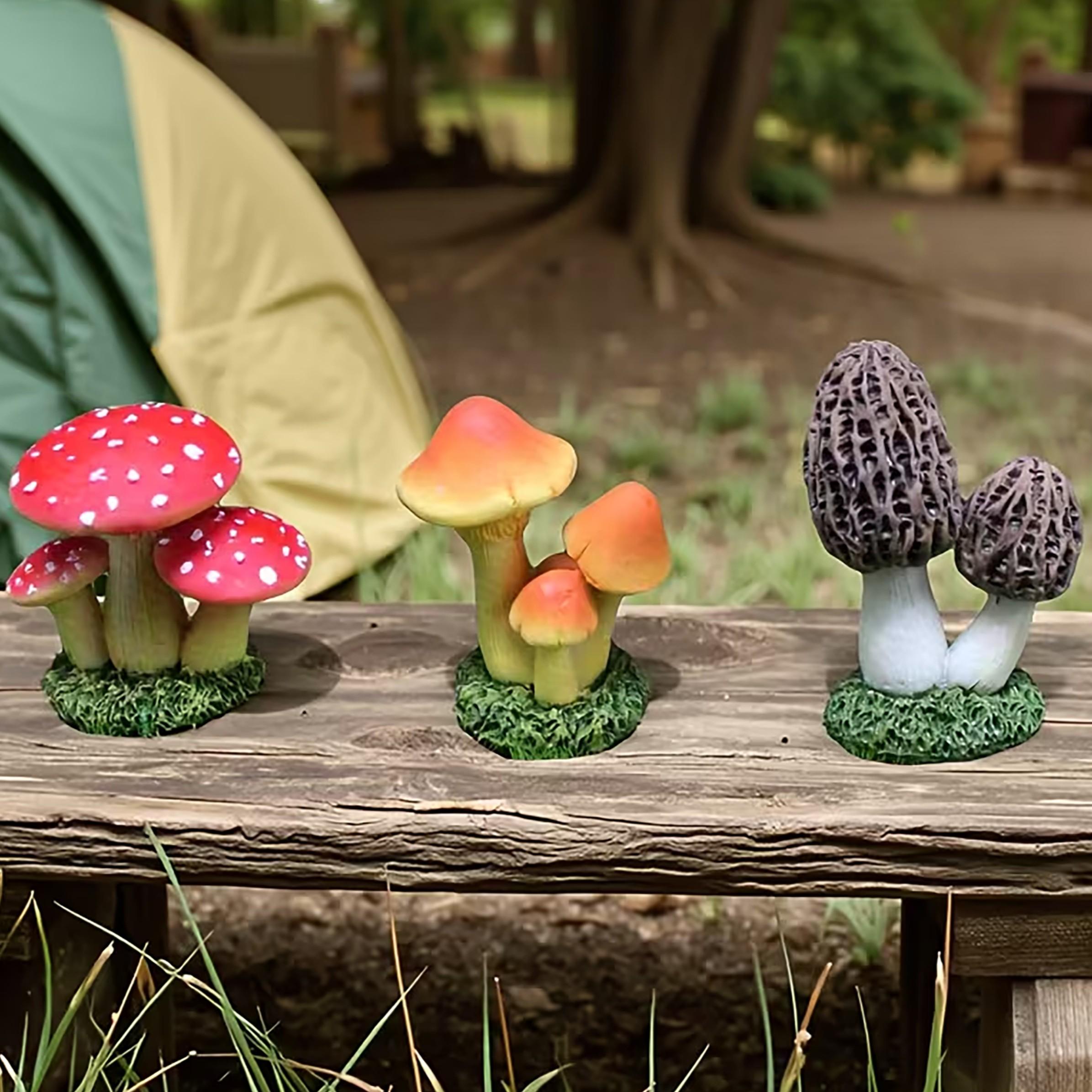 1 Set of 3pcs Artificial Mushr - Echeveria Succulent 评论和价格