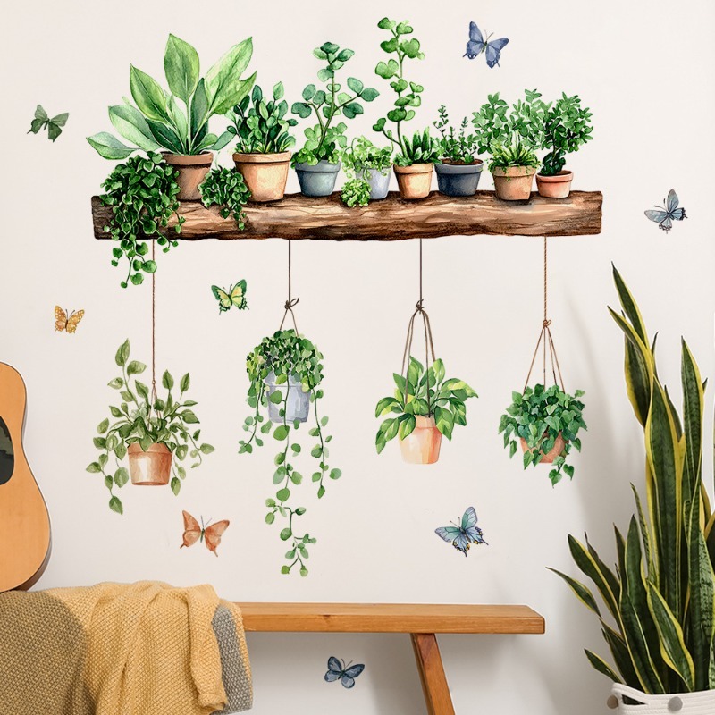 3D Potted Green Plant Shelf Wa - Echeveria Succulent 评论和价格