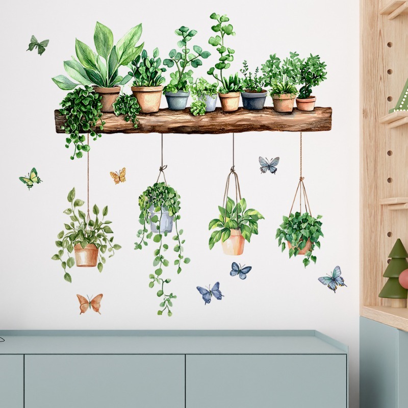 3D Potted Green Plant Shelf Wa - Echeveria Succulent 评论和价格