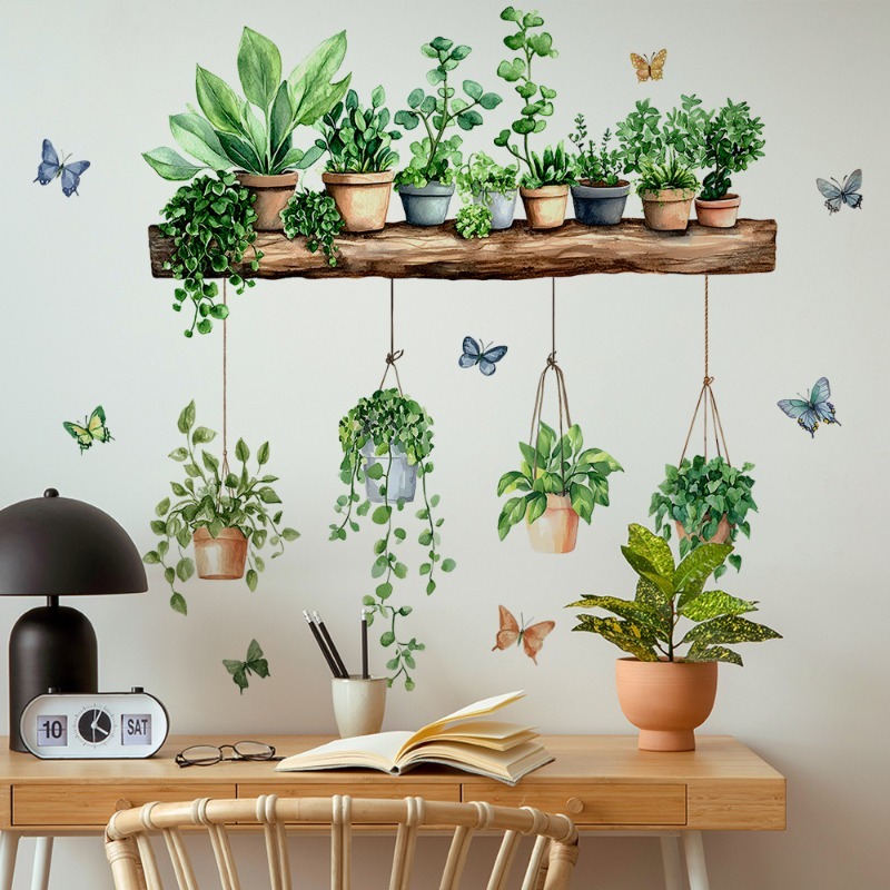 3D Potted Green Plant Shelf Wa - Echeveria Succulent 评论和价格