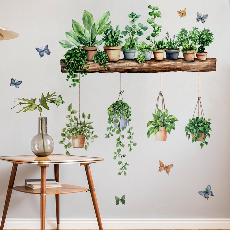 3D Potted Green Plant Shelf Wa - Echeveria Succulent 评论和价格