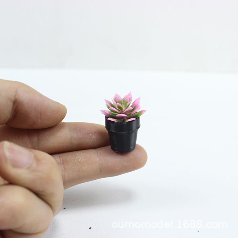 Mini Simulated Plants Cactus S - Echeveria Succulent 评论和价格