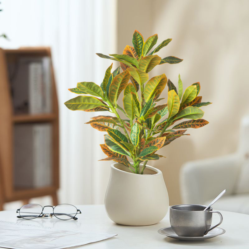 24-41cm Artificial Plants Fake - Ficus Lyrata Tree 评论和价格