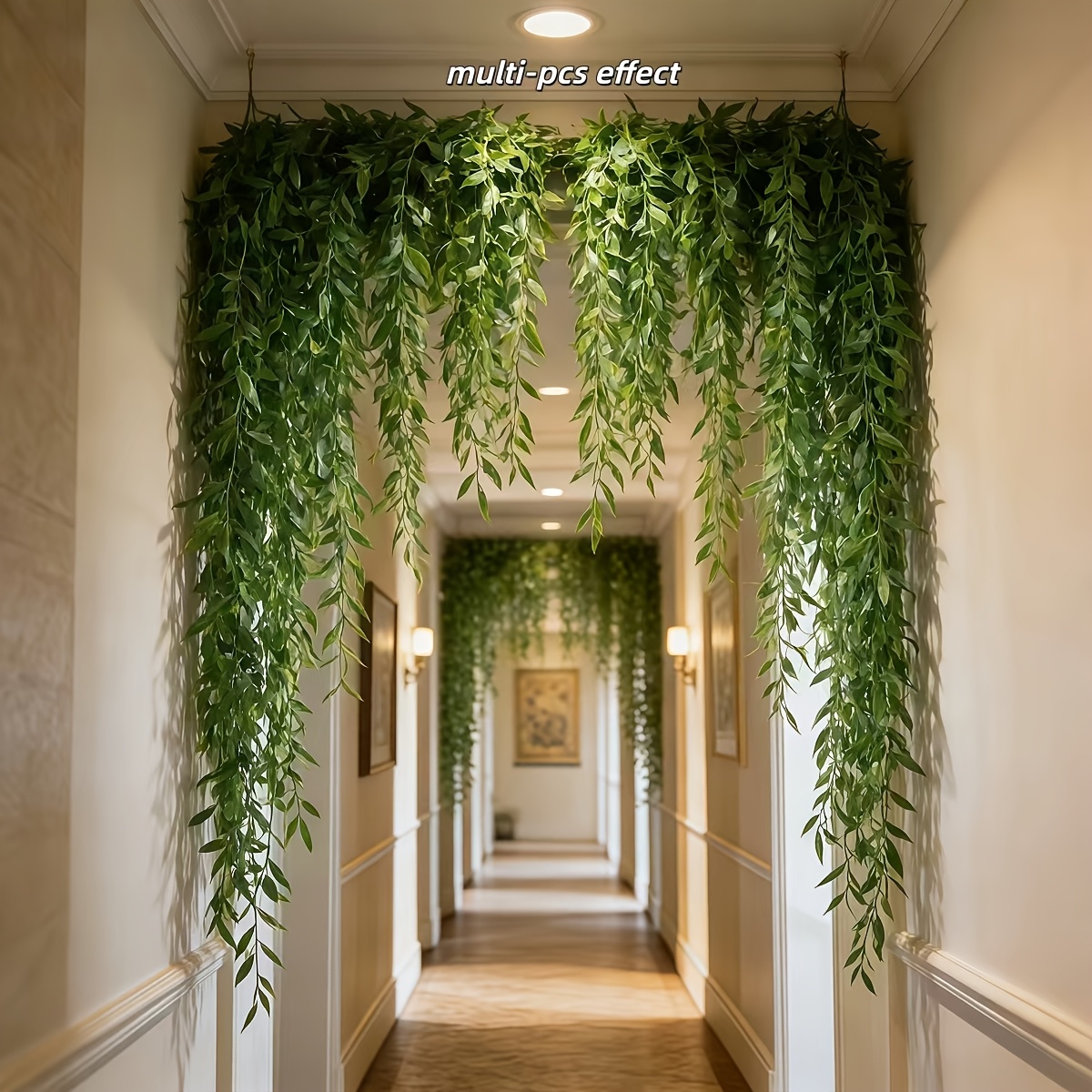 10pcs Extra-Long Deluxe Willow - Dracaena Marginata 评论和价格