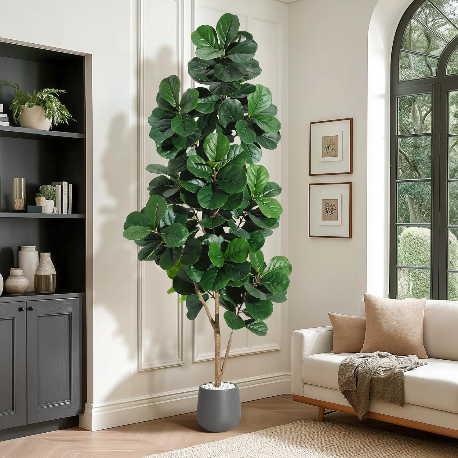 4FT/5FT/6FT/7FT Fiddle Leaf Fi - Ficus Lyrata Tree 评论和价格