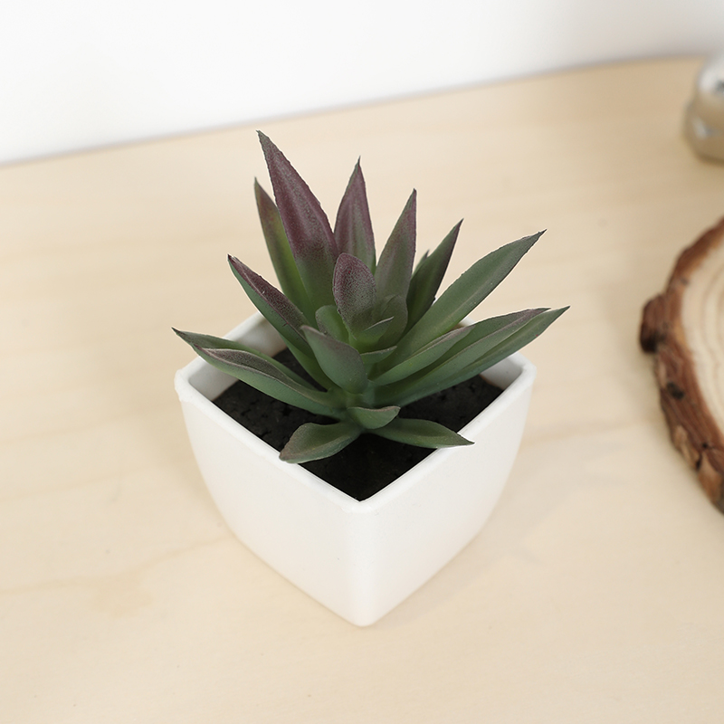 Mini Artificial Succulent Fair - Echeveria Succulent 评论和价格