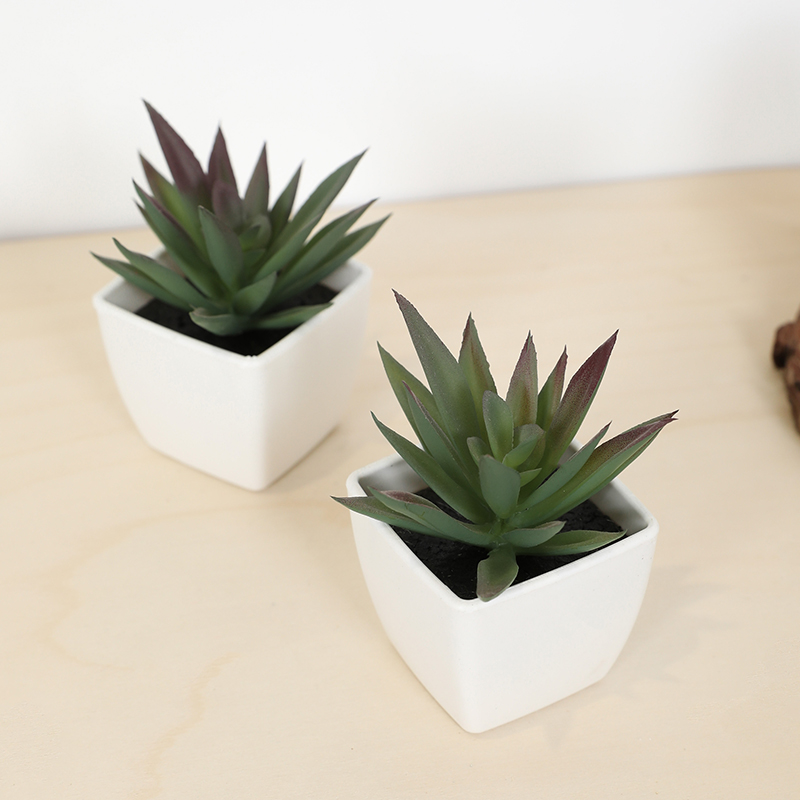 Mini Artificial Succulent Fair - Echeveria Succulent 评论和价格
