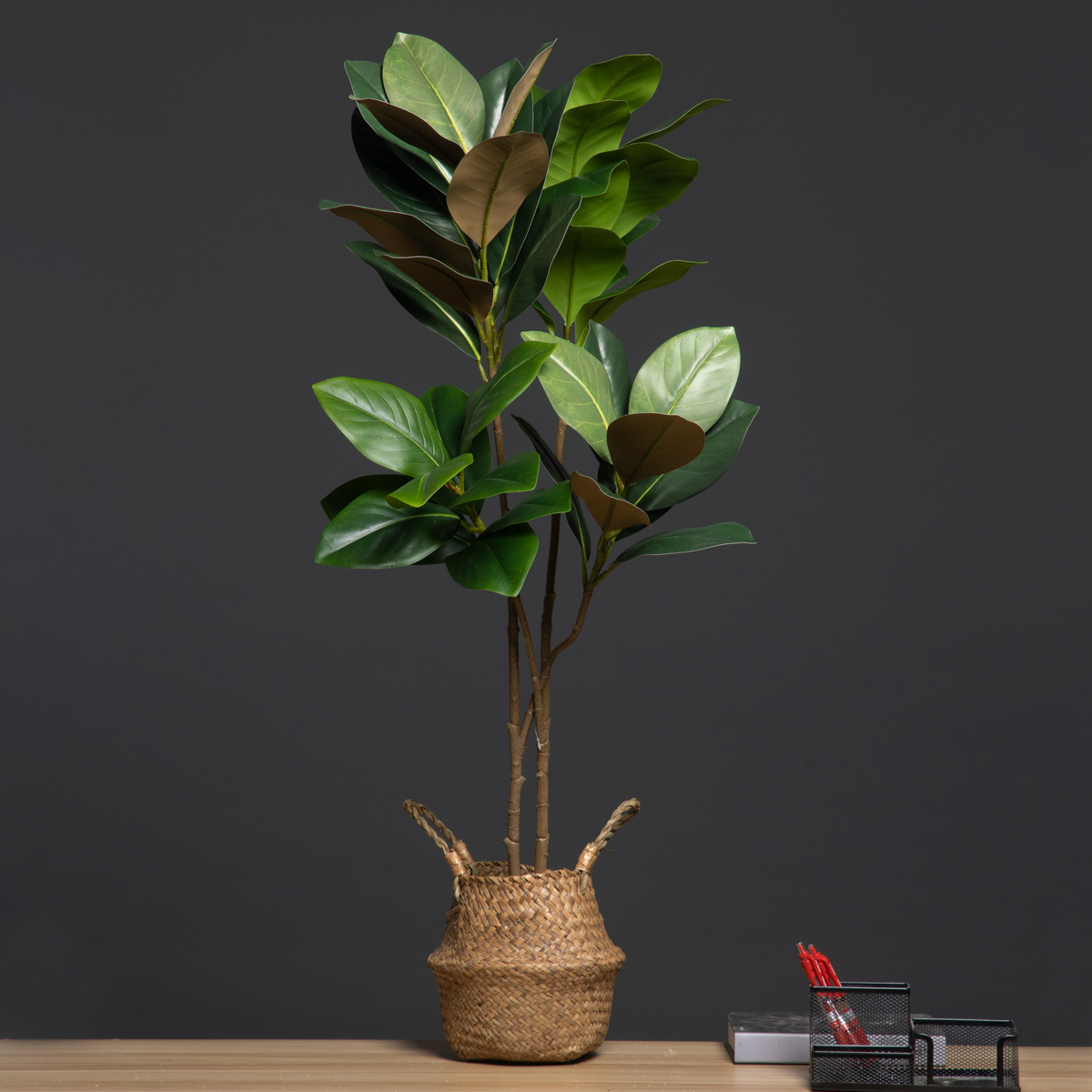 105cm 2 Forks Large Artificial - Dracaena Marginata 评论和价格