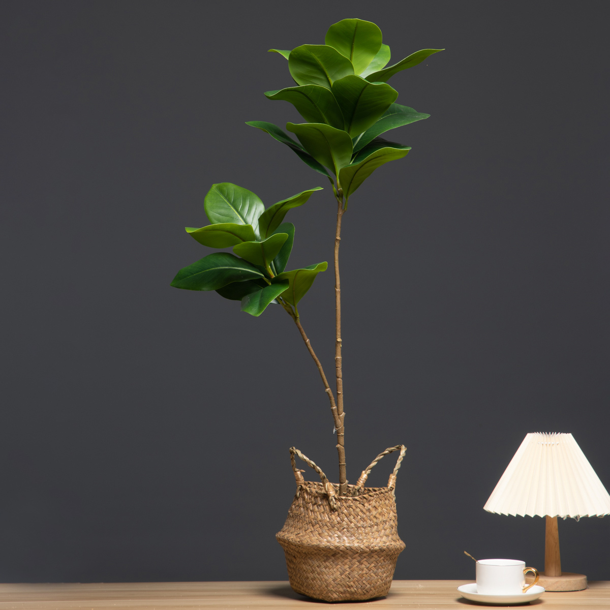 105cm 2 Forks Large Artificial - Dracaena Marginata 评论和价格