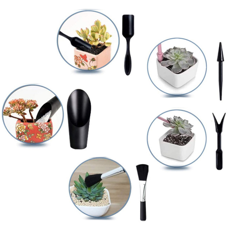 Mini Gardening Tool Set Label  - Echeveria Succulent 评论和价格