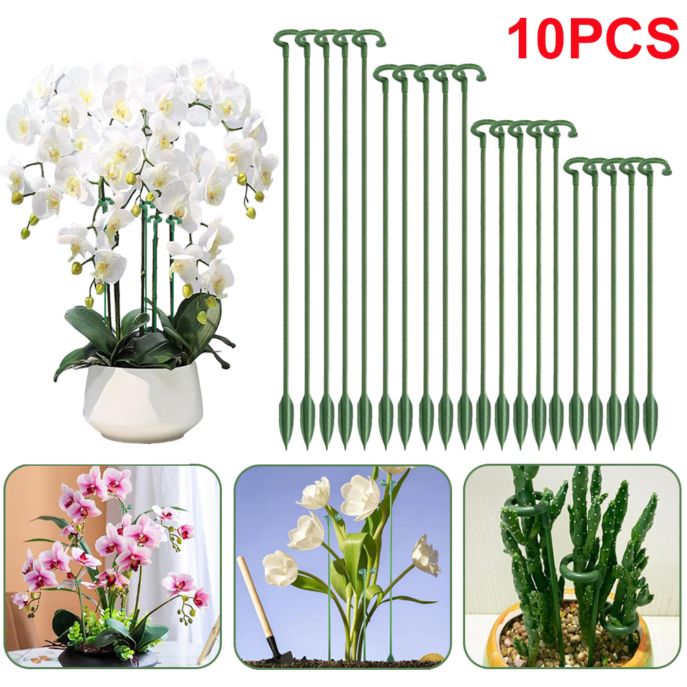 5/10pcs Plant Support Stakes P - Echeveria Succulent 评论和价格