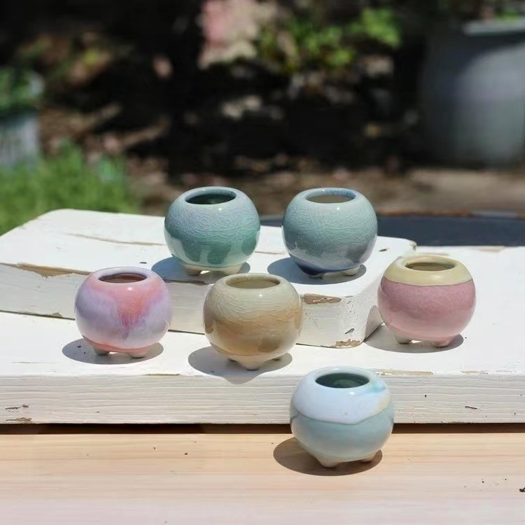 6Pcs Mini Flowerpot Succulents - Echeveria Succulent 评论和价格