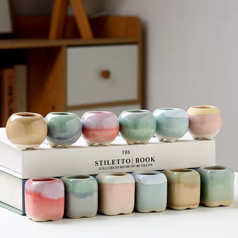 6Pcs Mini Flowerpot Succulents - Echeveria Succulent 评论和价格
