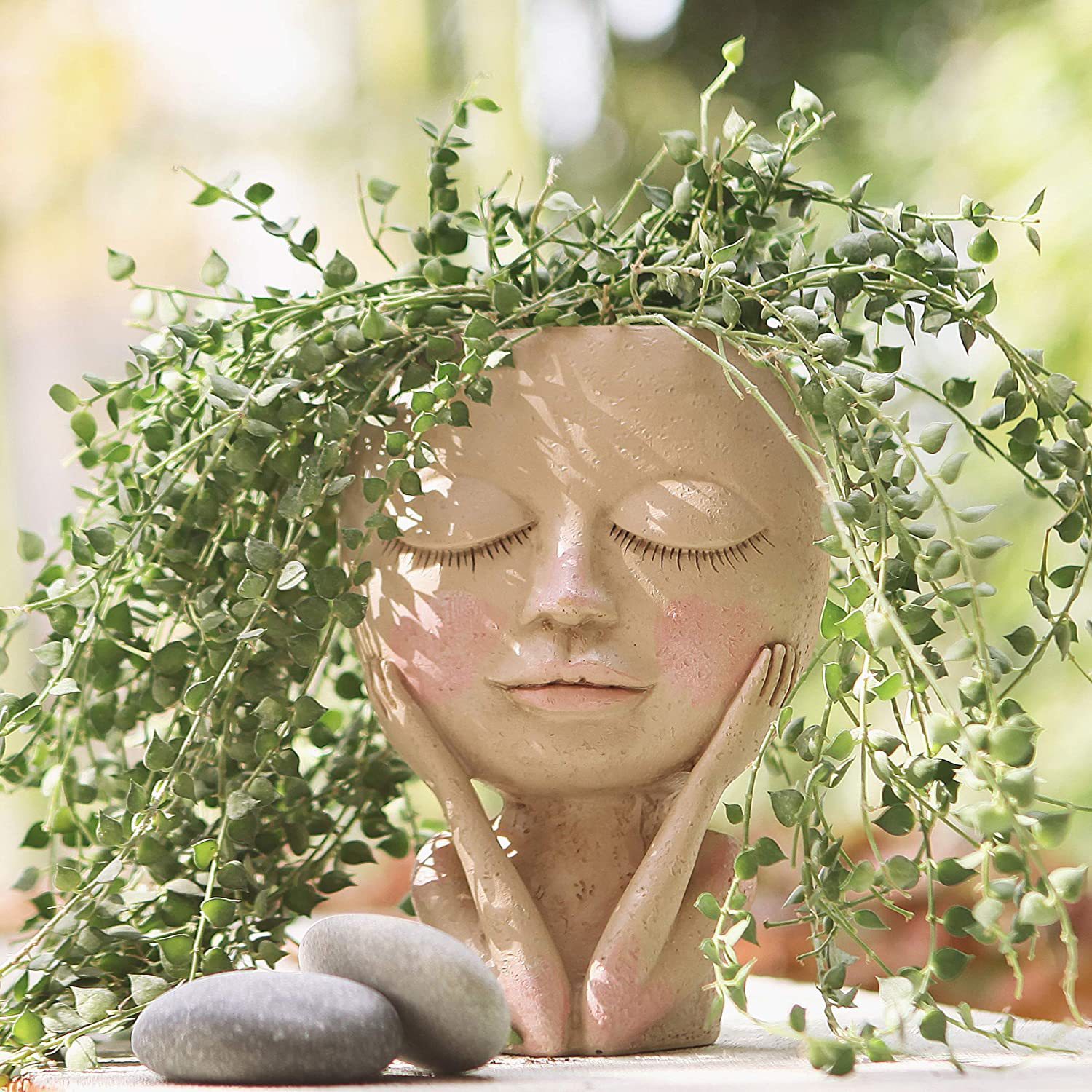 Girls Face Head Flower Planter - Echeveria Succulent 评论和价格